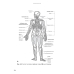 Анатомия человека. 4-е издание, стереотипное. ГРИФ ФИРО