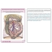 Анатомия человека: КАРТОЧКИ (45шт). Ангиология. Русские и латинские названия анатомических структур.