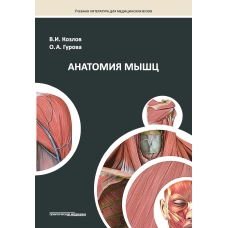 Анатомия мышц. Рекомендовано Координационным советом