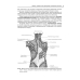 Анатомия мышц. Рекомендовано Координационным советом