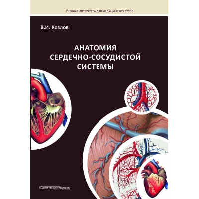 Анатомия сердечно-сосудистой системы: учебное пособие для студентов медицинских вузов. Гриф УМО