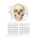 Атлас анатомии для стоматологов. В 2 т. Т. 1: Общая анатомия. Голова