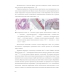 Механические свойства биологических тканей