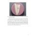 Физические свойства тканей зуба