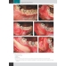 Хирургическая стоматология. Клинические протоколы