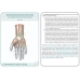 Анатомия человека: КАРТОЧКИ (47 шт). Спинномозговые нервы. Органы чувств