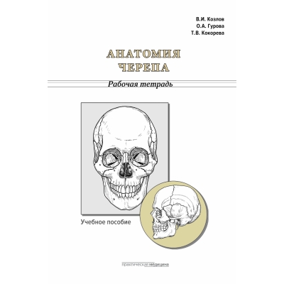 Анатомия черепа. Рабочая тетрадь